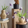 Purple Iris Stem 22" Tall - RusticReach