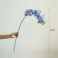 Real Touch Orchid Stem in Various Colors 35" Tall