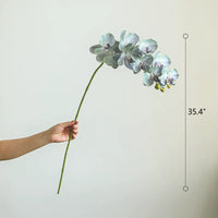 Real Touch Orchid Stem in Various Colors 35" Tall