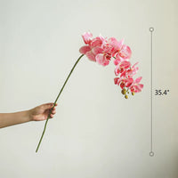 Real Touch Orchid Stem in Various Colors 35" Tall