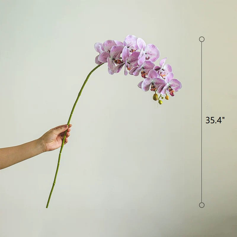 Real Touch Orchid Stem in Various Colors 35" Tall