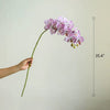 Real Touch Orchid Stem in Various Colors 35" Tall - RusticReach