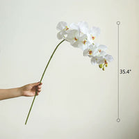 Real Touch Orchid Stem in Various Colors 35" Tall