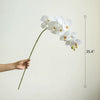 Real Touch Orchid Stem in Various Colors 35" Tall - RusticReach