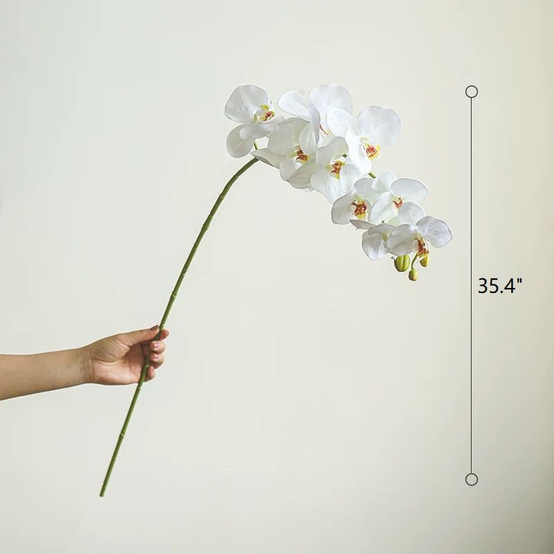 Real Touch Orchid Stem in Various Colors 35" Tall - RusticReach