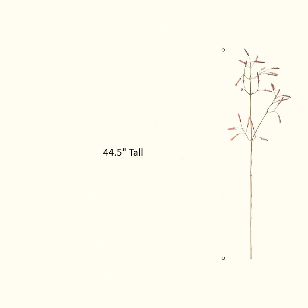 Faux Red Bean Stem 44.5" Tall - RusticReach