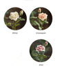 Rolled Edge American Rose Stem 18" Tall - RusticReach