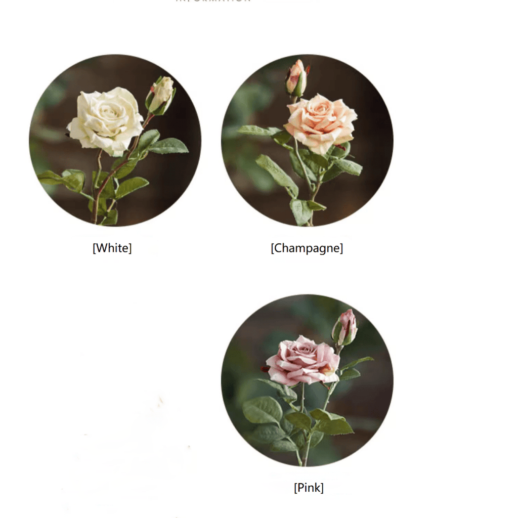 Rolled Edge American Rose Stem 18" Tall - RusticReach