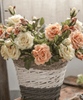 Rolled Edge American Rose Stem 18" Tall - RusticReach