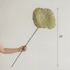 Artificial Rustic Lotus Stem - RusticReach