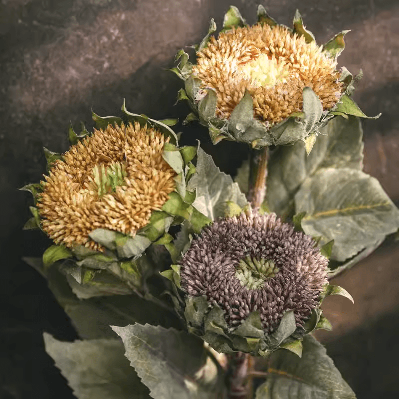 Artificial Small Head Sunflower Stem 23.6" Tall - RusticReach