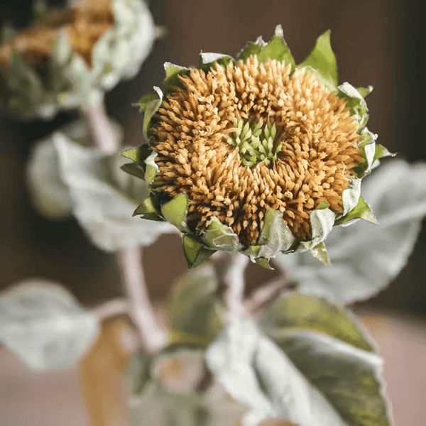 Artificial Small Head Sunflower Stem 23.6" Tall