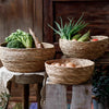 Seagrass Bowl Basket for Storage or Display - RusticReach
