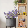 Summer Chrysanthemum Flower Stem in Purple 23.6" Tall - RusticReach