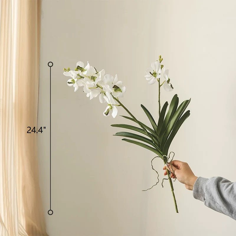 Faux Vanda Orchid Stem 24" Tall - RusticReach