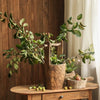 Old - fashioned Wooden Round Bucket - RusticReach