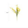 Wendy's Dancing Lady Orchid Stem 20.5" Tall - RusticReach