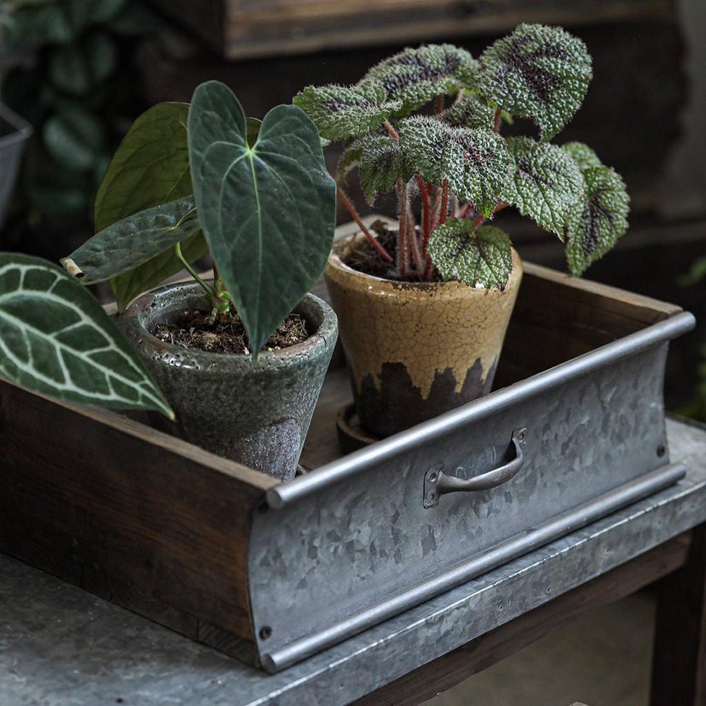 Rustic Wood and Metal Garden Tray Planter - RusticReach