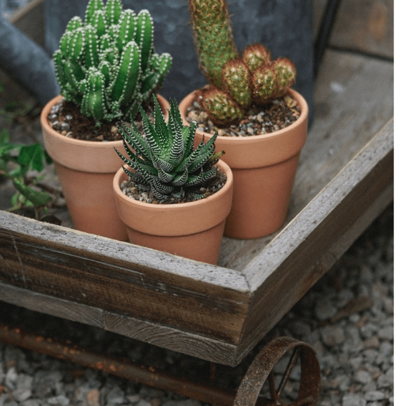 Small Decorative Wooden Wagon Flower Cart - RusticReach