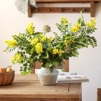 Yellow Acacia Flower Stem 27.5" Tall