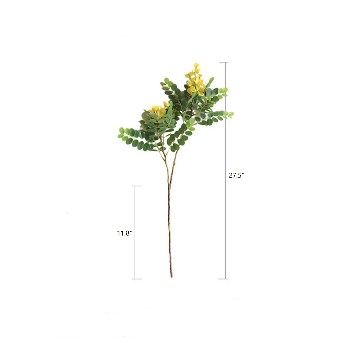 Yellow Acacia Flower Stem 27.5" Tall