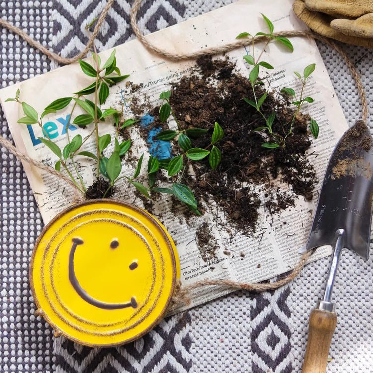 Happy Face Hanging Planter - RusticReach