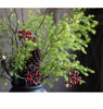 Lifelike Layered Leaf Spray 41" Tall - RusticReach