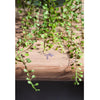 Hanging Faux Mini Leaf Garland 27.5" Long - RusticReach