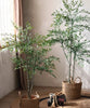 Lifelike Nandina Indoor Tree - RusticReach