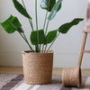 Natural Cylinder Storage and Planter Basket - RusticReach