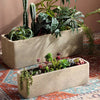 Modern Rectangular Textured Planter - RusticReach