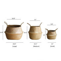 Foldable Seagrass Belly Basket with Handles - RusticReach