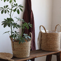 Handwoven Seagrass Basket for Plants - RusticReach