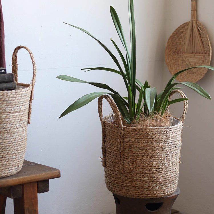 Handwoven Seagrass Basket for Plants - RusticReach
