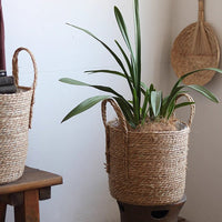 Handwoven Seagrass Basket for Plants - RusticReach
