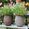 StoneNest Textured Planter - RusticReach