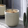 Nordic Vertical Stripe Flower Pot - RusticReach
