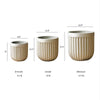 Nordic Vertical Stripe Flower Pot - RusticReach