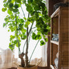 Silk Artificial Apple Banyan Leaf Tree In Pot - RusticReach