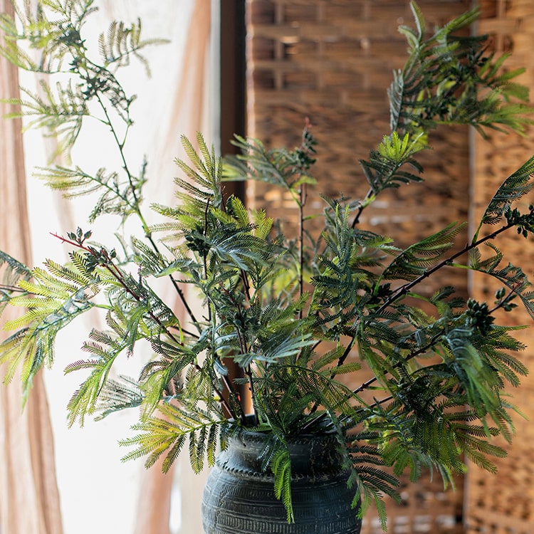 Artificial Acacia Plant Stem 47" Tall