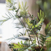 Artificial Faux Acacia Plant Stem 47" Tall - RusticReach