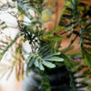 Artificial Faux Acacia Plant Stem 47" Tall - RusticReach