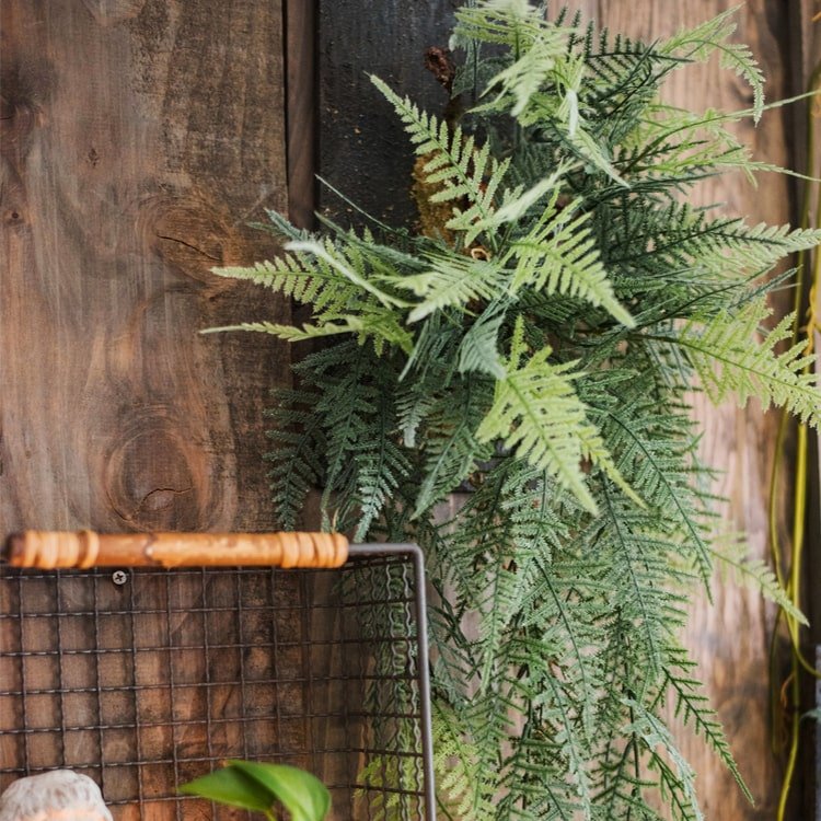 Faux Artificial Asparagus Setaceus Wood Board Hanging Decoration - RusticReach