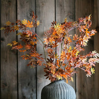 Autumn Color Maple Leaf Stem