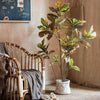 Large Leaf Artificial Croton Tree In Pot - RusticReach