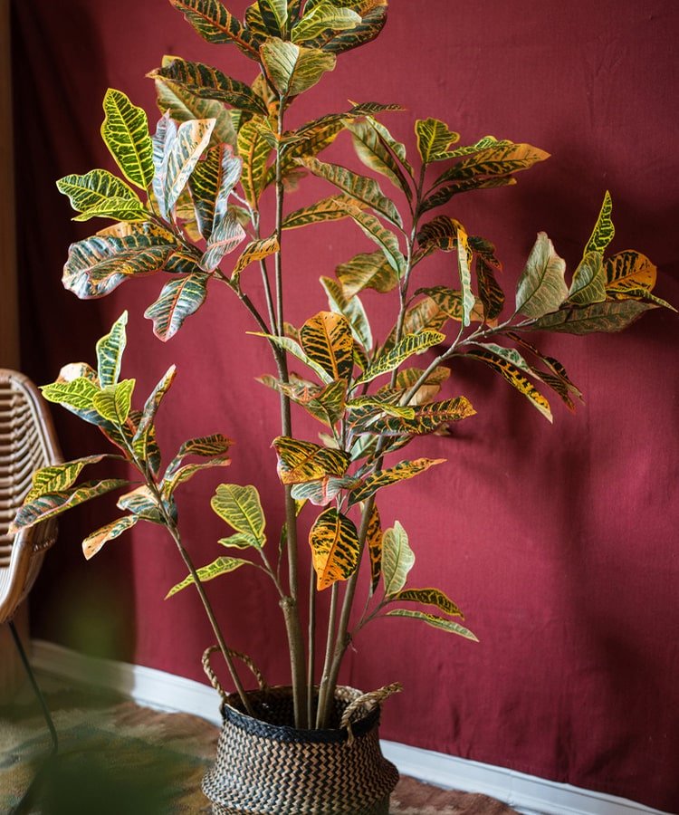 Large Leaf Artificial Croton Tree In Pot - RusticReach