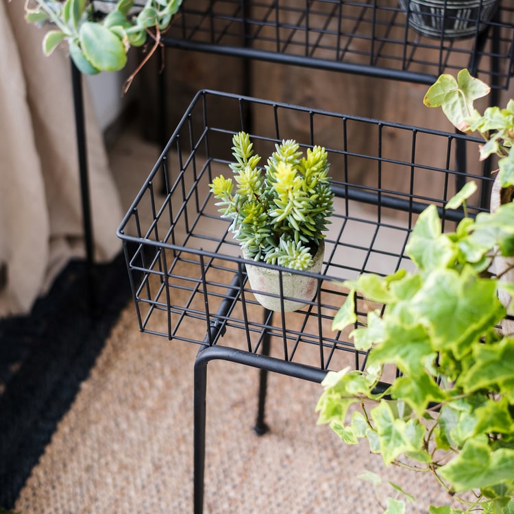 Black Metal Plant Stand Modern Plant Stand
