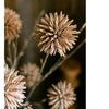 Round Camel Color Ball Flower on Twig Stem 34" Tall - RusticReach