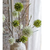Round Ball Flower on Twig Stem in Green - RusticReach