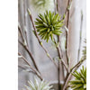 Round Ball Flower on Twig Stem in Green - RusticReach
